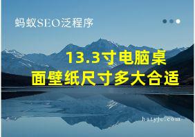 13.3寸电脑桌面壁纸尺寸多大合适