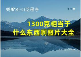 1300克相当于什么东西啊图片大全