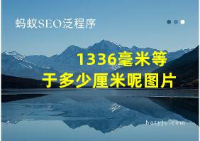 1336毫米等于多少厘米呢图片