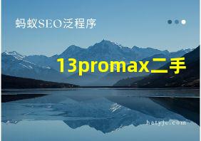 13promax二手