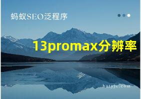 13promax分辨率