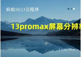 13promax屏幕分辨率