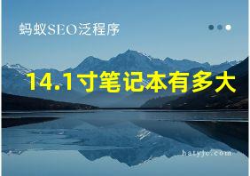 14.1寸笔记本有多大