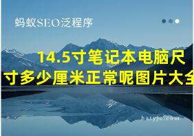 14.5寸笔记本电脑尺寸多少厘米正常呢图片大全