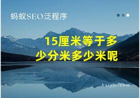 15厘米等于多少分米多少米呢