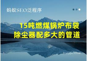 15吨燃煤锅炉布袋除尘器配多大的管道