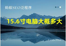 15.6寸电脑大概多大