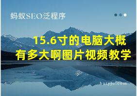 15.6寸的电脑大概有多大啊图片视频教学