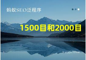 1500目和2000目