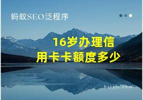 16岁办理信用卡卡额度多少