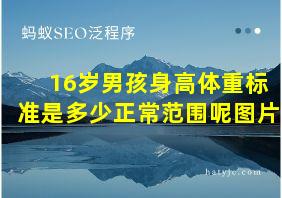 16岁男孩身高体重标准是多少正常范围呢图片