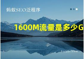 1600M流量是多少G