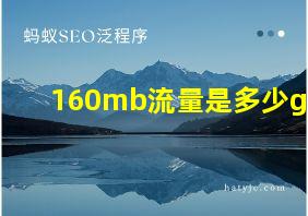 160mb流量是多少g