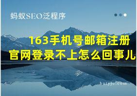 163手机号邮箱注册官网登录不上怎么回事儿