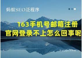 163手机号邮箱注册官网登录不上怎么回事呢