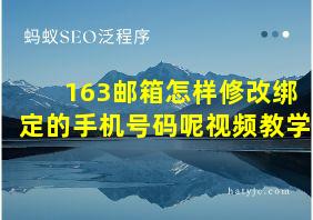 163邮箱怎样修改绑定的手机号码呢视频教学