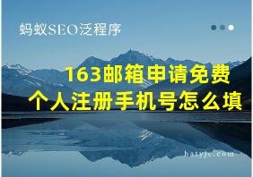 163邮箱申请免费个人注册手机号怎么填