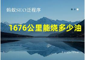 1676公里能烧多少油