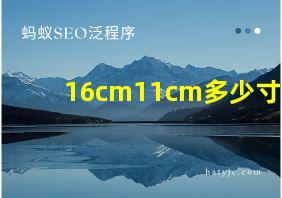 16cm11cm多少寸