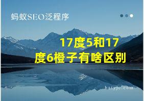 17度5和17度6橙子有啥区别