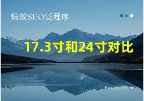 17.3寸和24寸对比