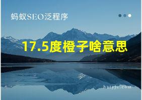 17.5度橙子啥意思