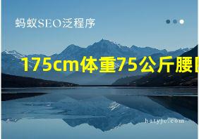 175cm体重75公斤腰围