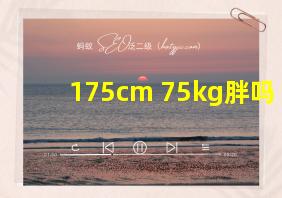 175cm 75kg胖吗