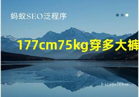 177cm75kg穿多大裤子