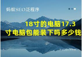 18寸的电脑17.3寸电脑包能装下吗多少钱