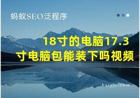 18寸的电脑17.3寸电脑包能装下吗视频