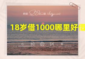 18岁借1000哪里好借