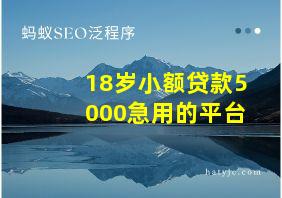 18岁小额贷款5000急用的平台