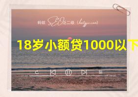 18岁小额贷1000以下