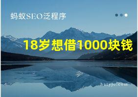 18岁想借1000块钱