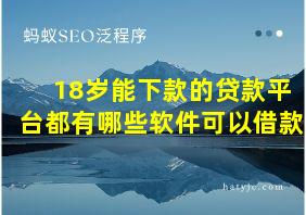 18岁能下款的贷款平台都有哪些软件可以借款