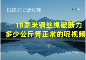 18毫米钢丝绳破断力多少公斤算正常的呢视频