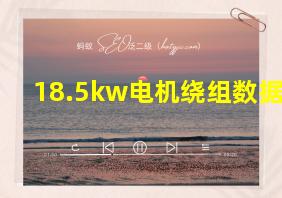 18.5kw电机绕组数据