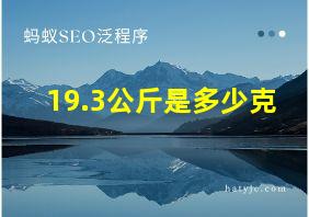 19.3公斤是多少克