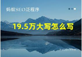 19.5万大写怎么写