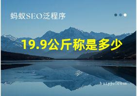 19.9公斤称是多少