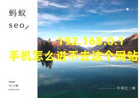 192.168.0.1手机怎么进不去这个网站