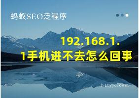 192.168.1.1手机进不去怎么回事