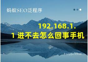 192.168.1.1 进不去怎么回事手机