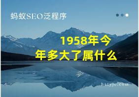 1958年今年多大了属什么