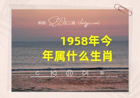 1958年今年属什么生肖