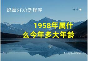 1958年属什么今年多大年龄