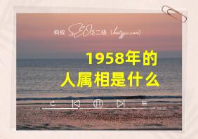 1958年的人属相是什么