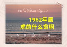 1962年属虎的什么命啊