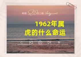 1962年属虎的什么命运